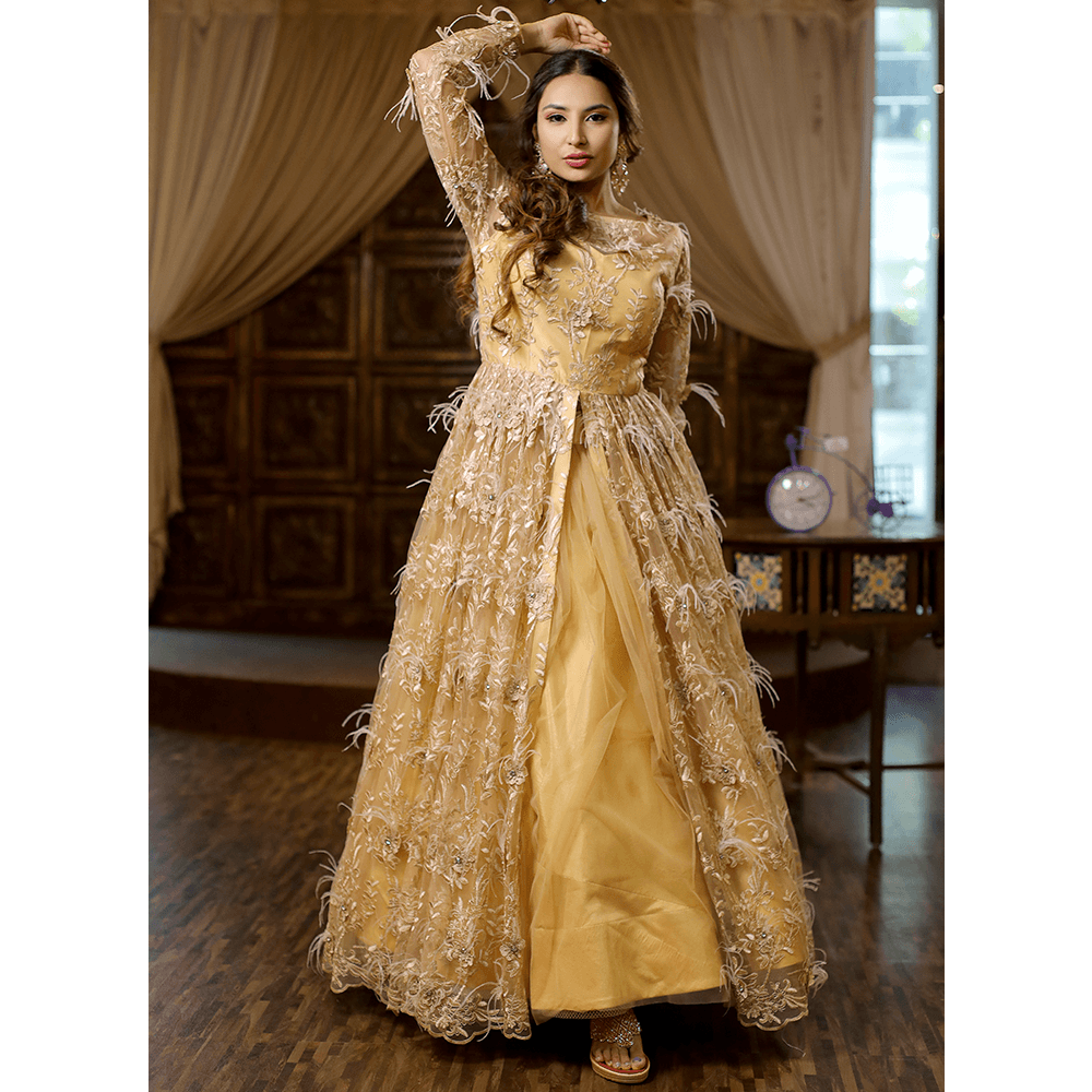 Golden net Indo-Western gown - Creative Stylista